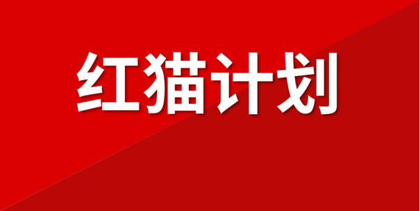 红猫计划 | 小红书和淘天合作，会是存量电商变天的第一枪吗？